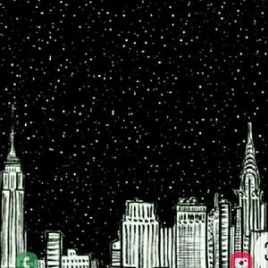 Meet your Posher, Lacey